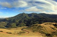 Mount Tamalpais