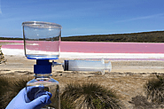 Why Lake Hillier Is Pink - Bacterial Function of Salinibacter ruber