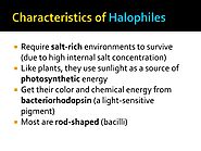 Importance of Halophiles in Biomedicine