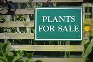 Don’t buy more plants than I really need. Bwahahhah! Yeah right.