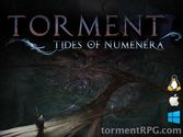 About Torment: Tides of Numenera