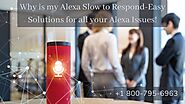 Why Alexa Slow to Respond Fix Instantly 1-8007956963 Anytime Alexa App Helpline