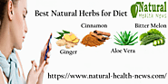 What Is Herbs and How Can it Control Diabetes?