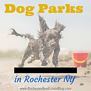 Dog Parks In Rochester NY | Monroe County Dog Parks