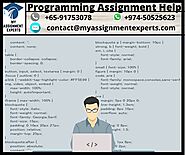 Programming Assignment Help