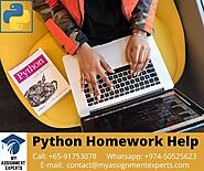 Python Homework Help