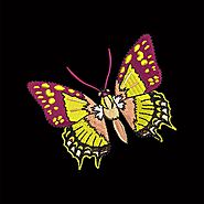Colorful Butterfly Embroidery Design | Cre8iveSkill