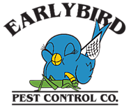 Beehive Removal Bee Hornets Wasps Scottsdale Paradise Valley