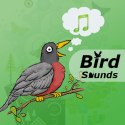 Bird Sounds HD + By Your Apps Online