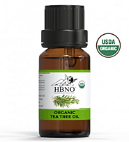 Buy Now! 100% Organic Tea Tree Essential Oil In Bulk at Essential Natural Oils