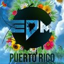 EDM Puerto Rico (@EDMPuertoRico)