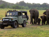 National Park Safaris
