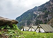 Best Campsite in Shimla