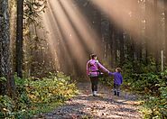 Best Things to do in Shimla