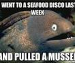 Seafood Disco
