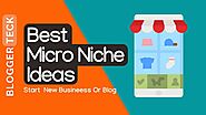 151+ Profitable Micro Niche Ideas for Blogging 2023 - BLOGGER TECK