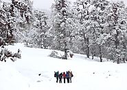 Chopta - Switzerland of Uttarakhand