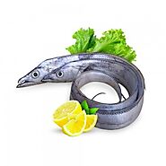 Fish Shop: Buy Live Fish Online UAE Quoodo