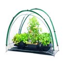 Culti Cave Mini Greenhouse - GardenBunch