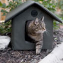 K&H Outdoor Heated Kitty House | Overstock.com Shopping - The Best Deals on Other Pet Houses