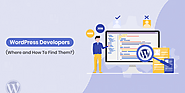 How To Find The Best WordPress Developers For Your Next Project?