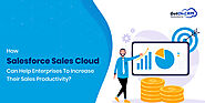 How Salesforce Sales Cloud Can Help Enterprises To Increase Their Sales Productivity