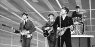 From Whale Songs to the Beatles: Computer Analysis of Musical Styles