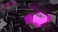What is CrowdPoint Technologies