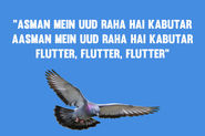 The Fluttering Kabutar:
