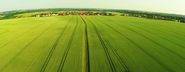ADAVSO - Precision Agriculture