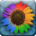 Web Albums HD for Picasa and Google+ By Pixite LLC