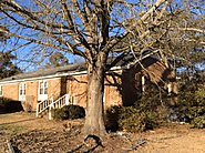 Tree Service New Bern, NC