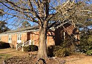 Tree Removal New Bern NC