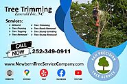 Tree Trimming in Emerald Isle, NC: Keep Your Landscape Healthy, Safe, and Beautiful | Pearltrees