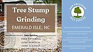 Tree Stump Grinding Emerald Isle, NC
