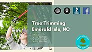 Tree Trimming Emerald Isle, NC