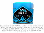 A Trusted Agent in an Untrusted World