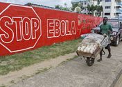 Norway to give Liberia $150m to fight illegal logging that may spread Ebola