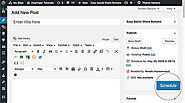 Schedule a WordPress Post - WordPress Tutorials For Beginners