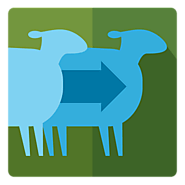 Turnitin - The Plagiarism Spectrum