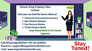Bronze Wing Trading Video Gallery – Bank Instruments Providers