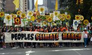 Climate change protests: how do we turn placards into policy? - live Q&A