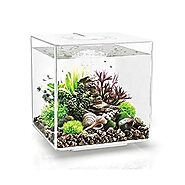 biOrb Cube 30 Aquarium with LED – My WordPress