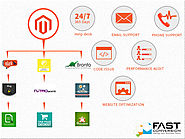 Magento Ecommerce Integration Services and Support