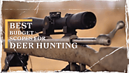 5 Budget Scopes For Deer Hunting Under $500 - www.GunsandOptics.com