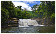 7 Most Beautiful Waterfalls in Kerala