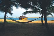 Top 5 Honeymoon Destinations in Kerala