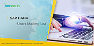 SAP HANA Users Email List | SAP HANA Users Mailing List | DataStaples