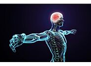 Buy Fast Pain Relief Cbd Products