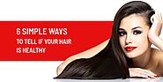6 Simple Ways to Tell If Your Hair Is Healthy - Style n Scissors